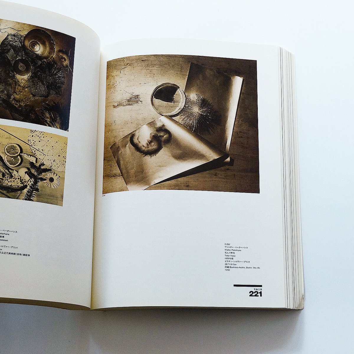 bauhaus 1919-1933 | Book Ernest bauhaus 1919-1933 | Book Ernest