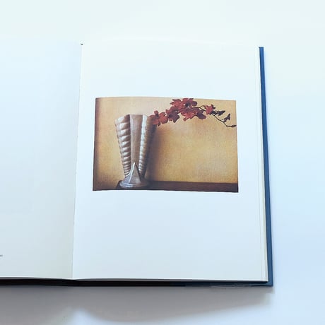 Sheila Metzner: Color