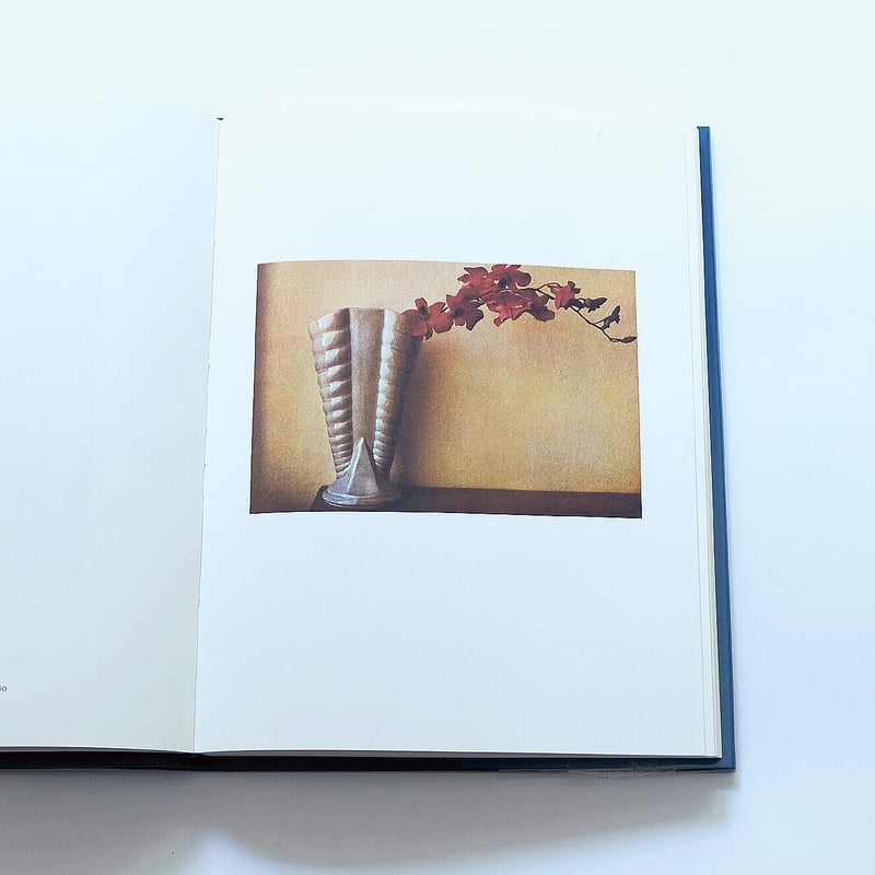 Sheila Metzner: Color | Book Ernest Sheila Metzner: Color | Book Ernest