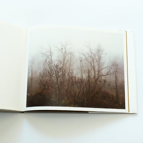 Yvette Monahan: The Time of Dreaming the World Awake