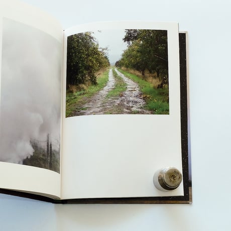 Ed Panar: In The Vicinity