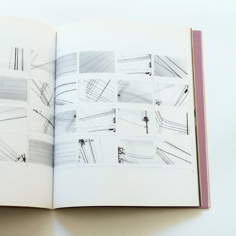 Process; A Tomato Project | Book Ernest