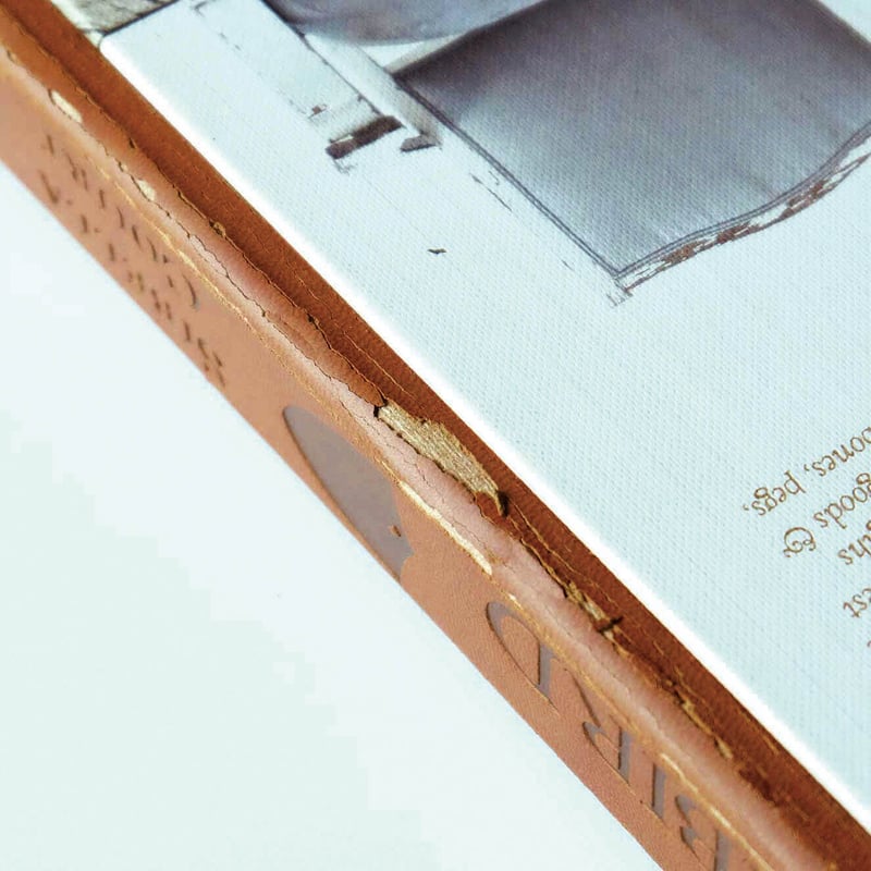 The Life of a Bowerbird by Sibella Court | Book