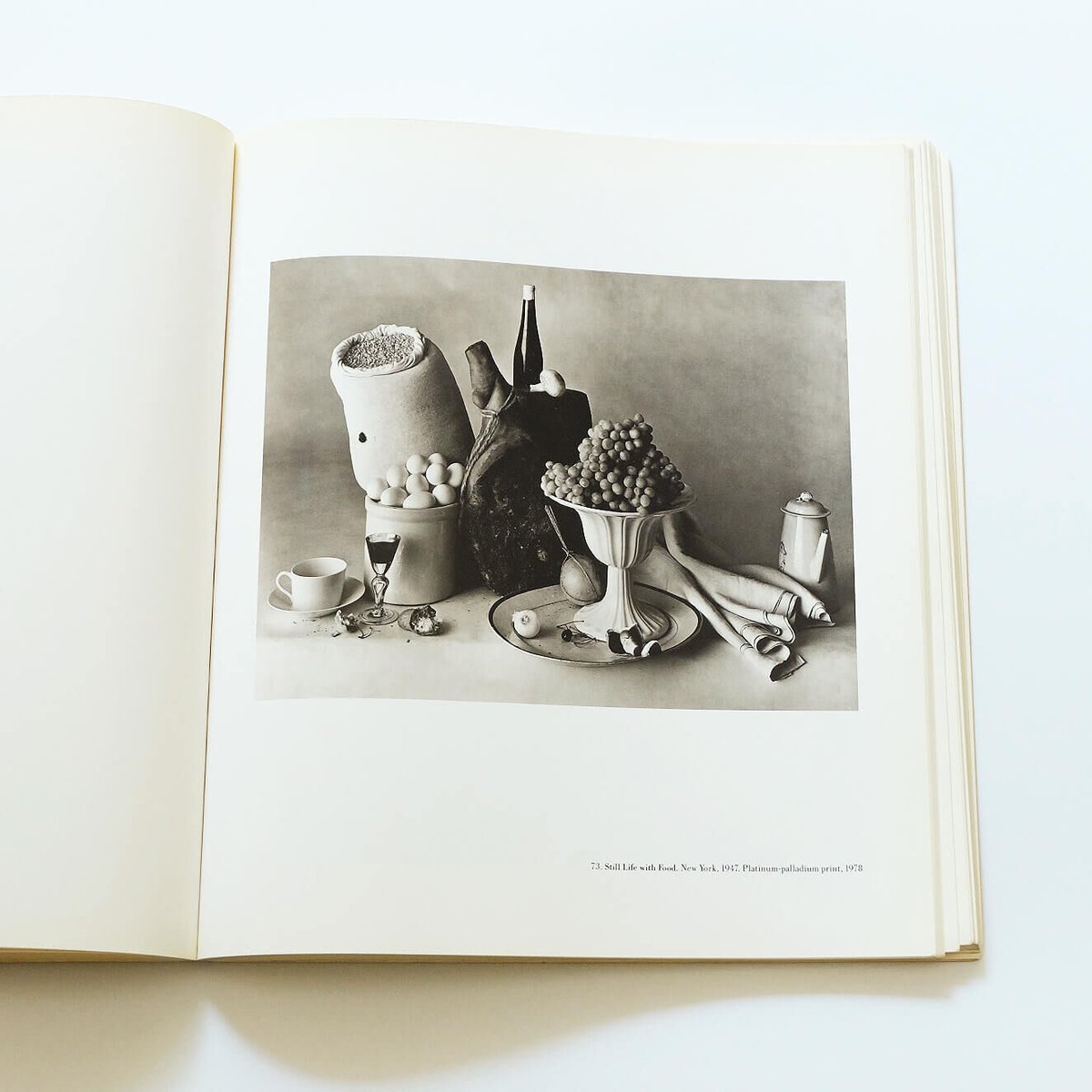 Irving Penn by John Szarkowski | Book Ernest
