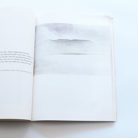 Georgia O′Keeffe: Painting
