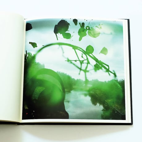 Stephen Gill: Talking to Ants