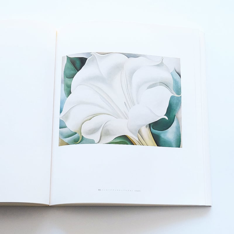 Georgia O'Keeffe アートブック Georgia O'Keeffe: Art and Letters: Jack Cowart, Juan