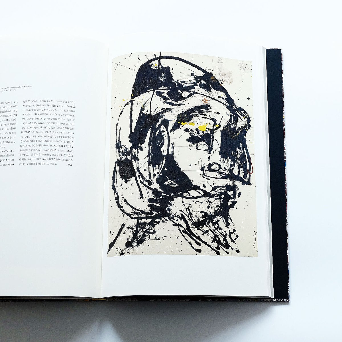 ポロック　廃盤　画集 ポロック 廃盤 画集 ポロック 廃盤 画集 ART BOOK | twelvekyoto