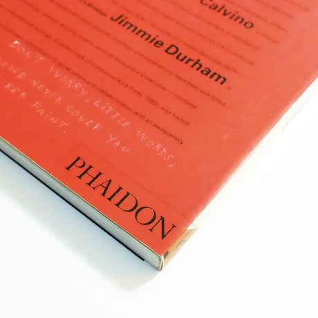 Jimmie Durham: Phaidon Contemporary Artists Series