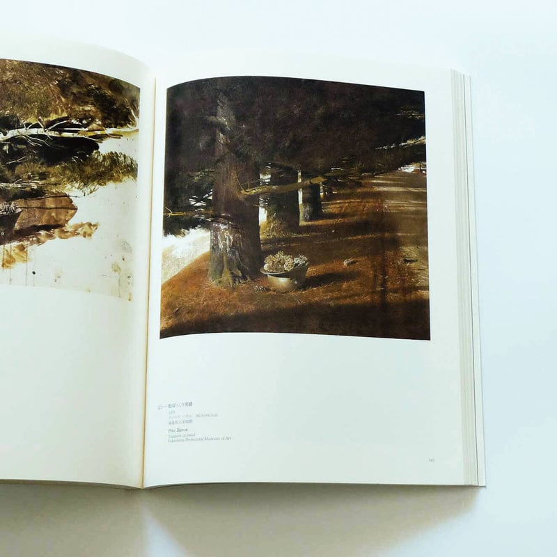 洋書　ワイエス　Wyeth Unknown Terrain: The Landscapes of Andrew Wyeth