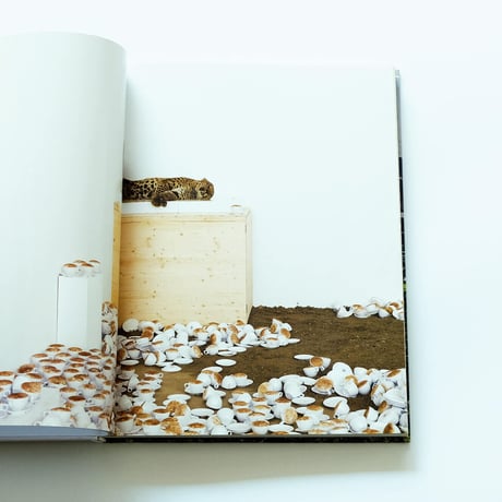 Paola Pivi: Perrotin