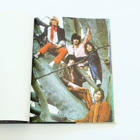 David Bailey: Les Heros du Rock and Roll