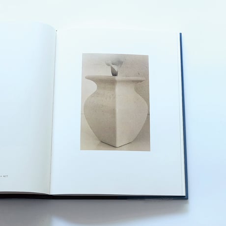 Sheila Metzner: Color