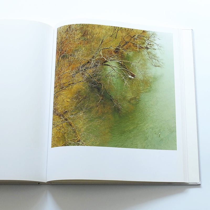 澁谷征司：Birth | Book Ernest