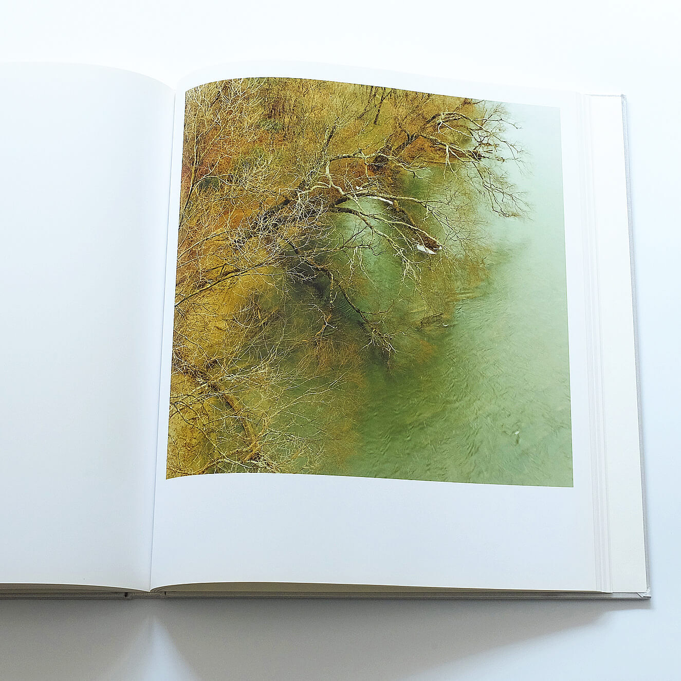澁谷征司：Birth | Book Ernest