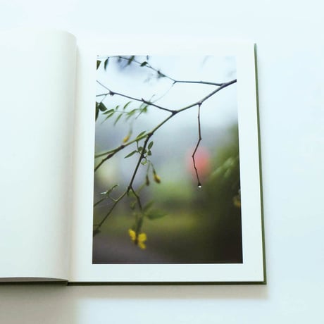 Terri Weifenbach: The may sun
