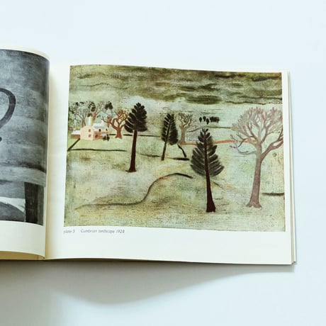 Ben Nicholson: The Penguin Modern Painters