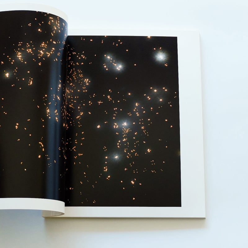 Rika Noguchi: The Light | Book Ernest