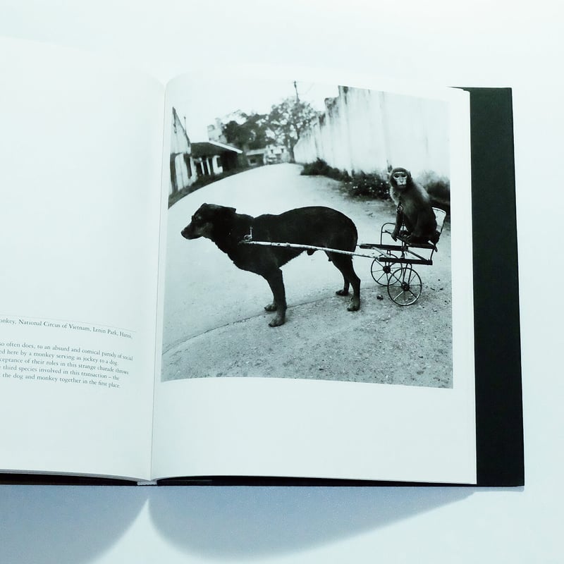 Mary Ellen Mark by Charles Hagen | Book Ernest Mary Ellen Mark by Charles Hagen | Book Ernest