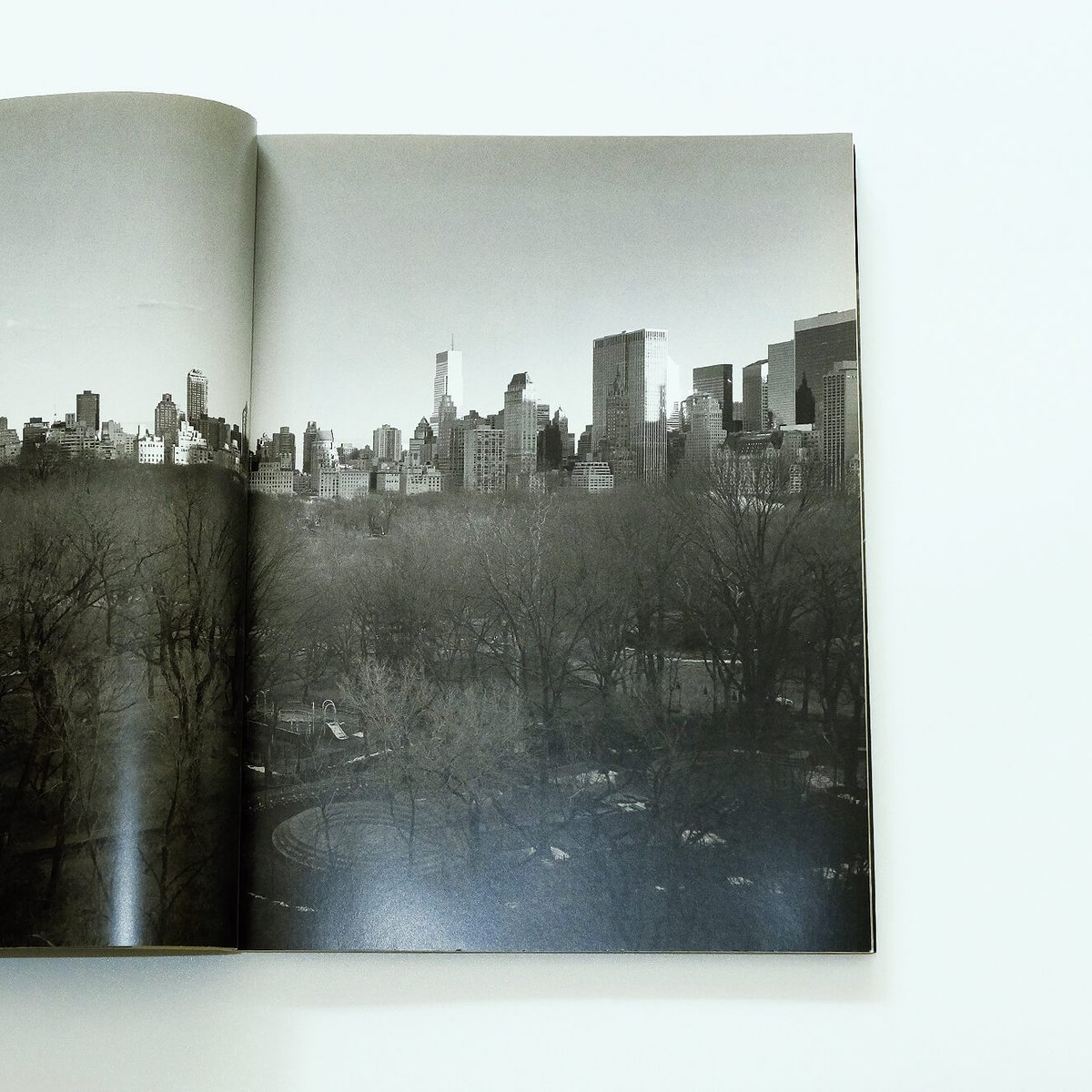 Elliott Erwitt' New York | Book Ernest Elliott Erwitt' New York | Book Ernest