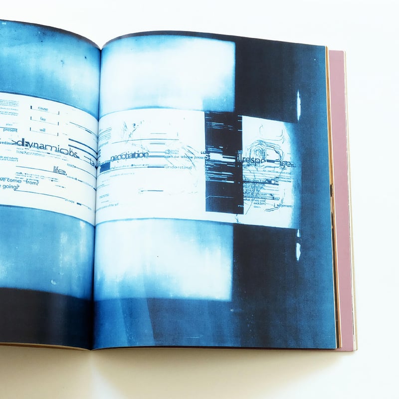 Process; A Tomato Project | Book Ernest