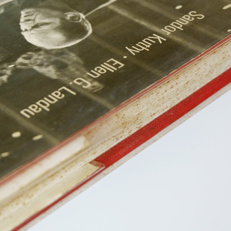 Lee Krasner - Jackson Pollock 1989 | Book Ernest Lee Krasner - Jackson Pollock 1989 | Book Ernest