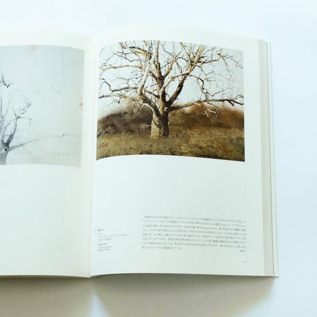 Andrew Wyeth: Emotion and Creation