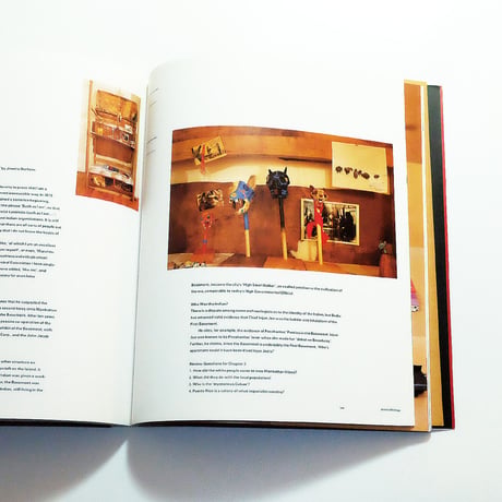 Jimmie Durham: Phaidon Contemporary Artists Series