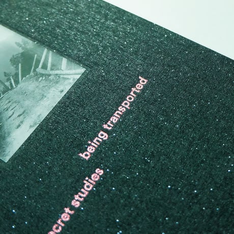 being transported and rapt in secret studies by Margareta Bergman
