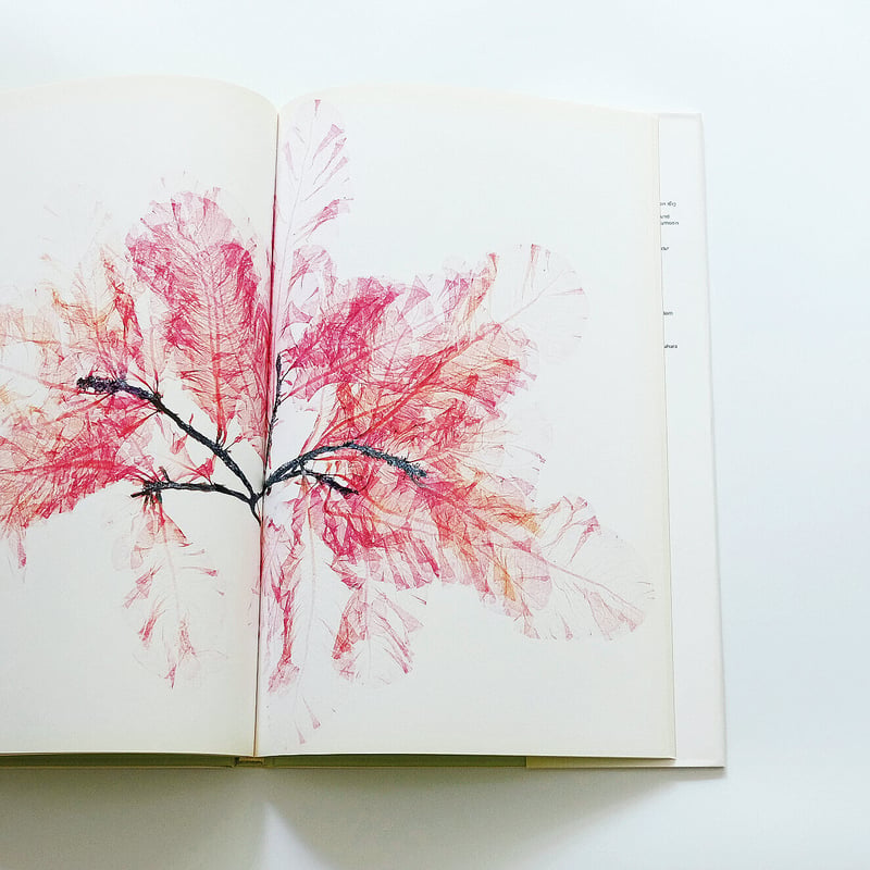 Nick Knight: Flora | Book Ernest