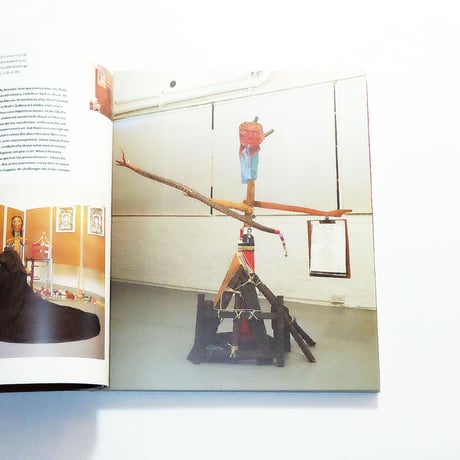 Jimmie Durham: Phaidon Contemporary Artists Series