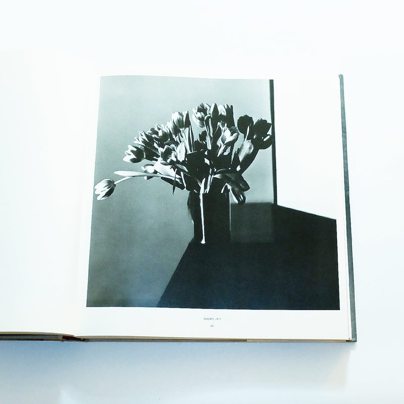 Robert Mapplethorpe: Mapplethorpe | Book Ernest