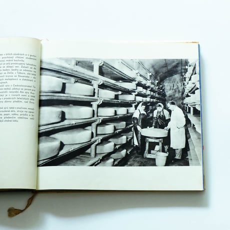 Made in Czechoslovakia: Olga Bojarova