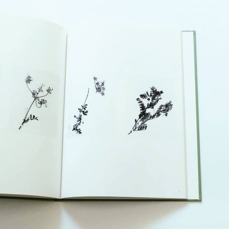 Terri Weifenbach: The may sun