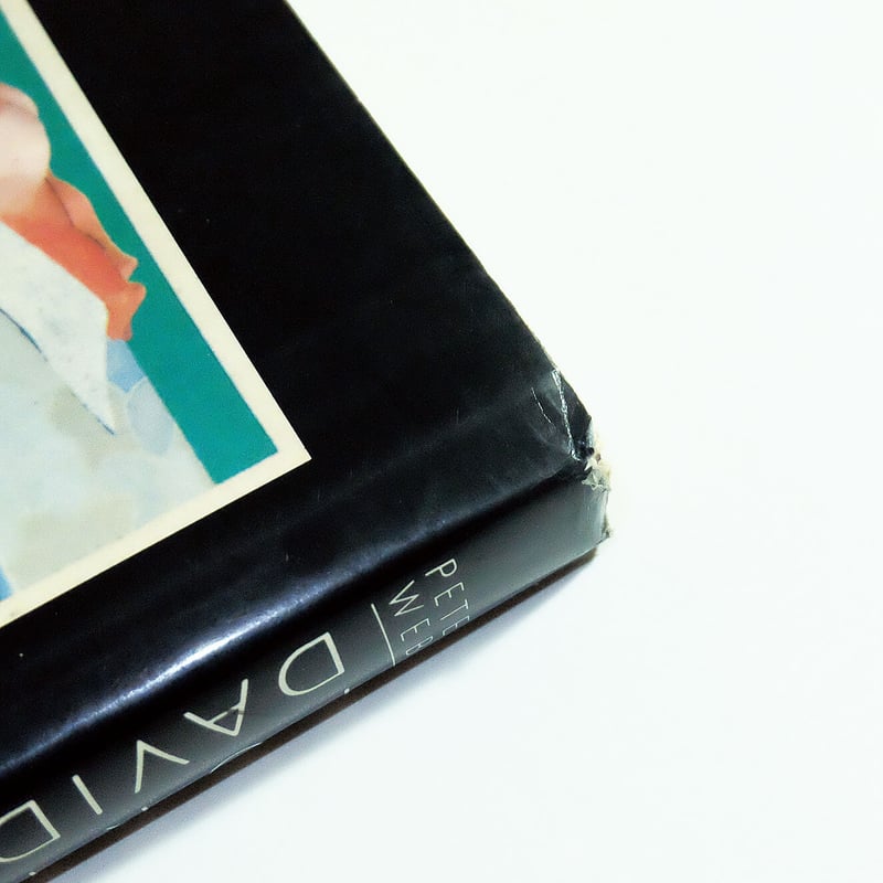 Portrait of David Hockney | Book Ernest