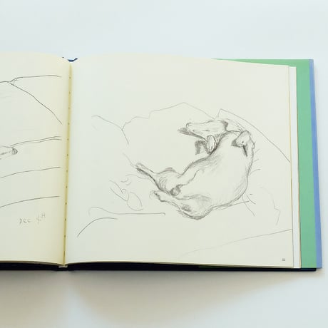 David Hocknet's Dog Days