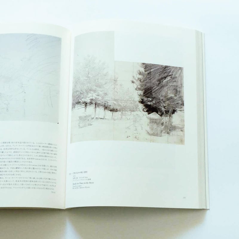 洋書　ワイエス　Wyeth The Art of Andrew Wyeth ワイエス 洋書 1973 - メルカリ