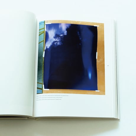 Roland Wirtz: immediatus