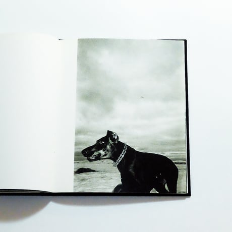 Mateusz Sarello: Swell