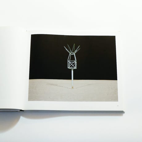 Edgar Martins: Topologies