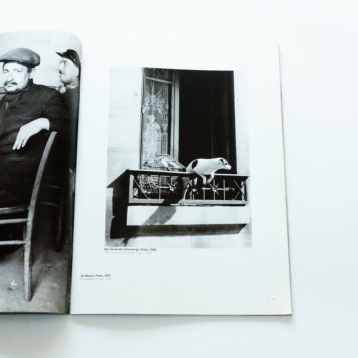 Spezial FOTOGRAFIE NO.31 アンドレ・ケルテス Andre Kertesz / NO.46 アンドレアス・ファイニンガー Andreas Feininger Andre Kertesz: STERN Fotografie Portfolio No.31