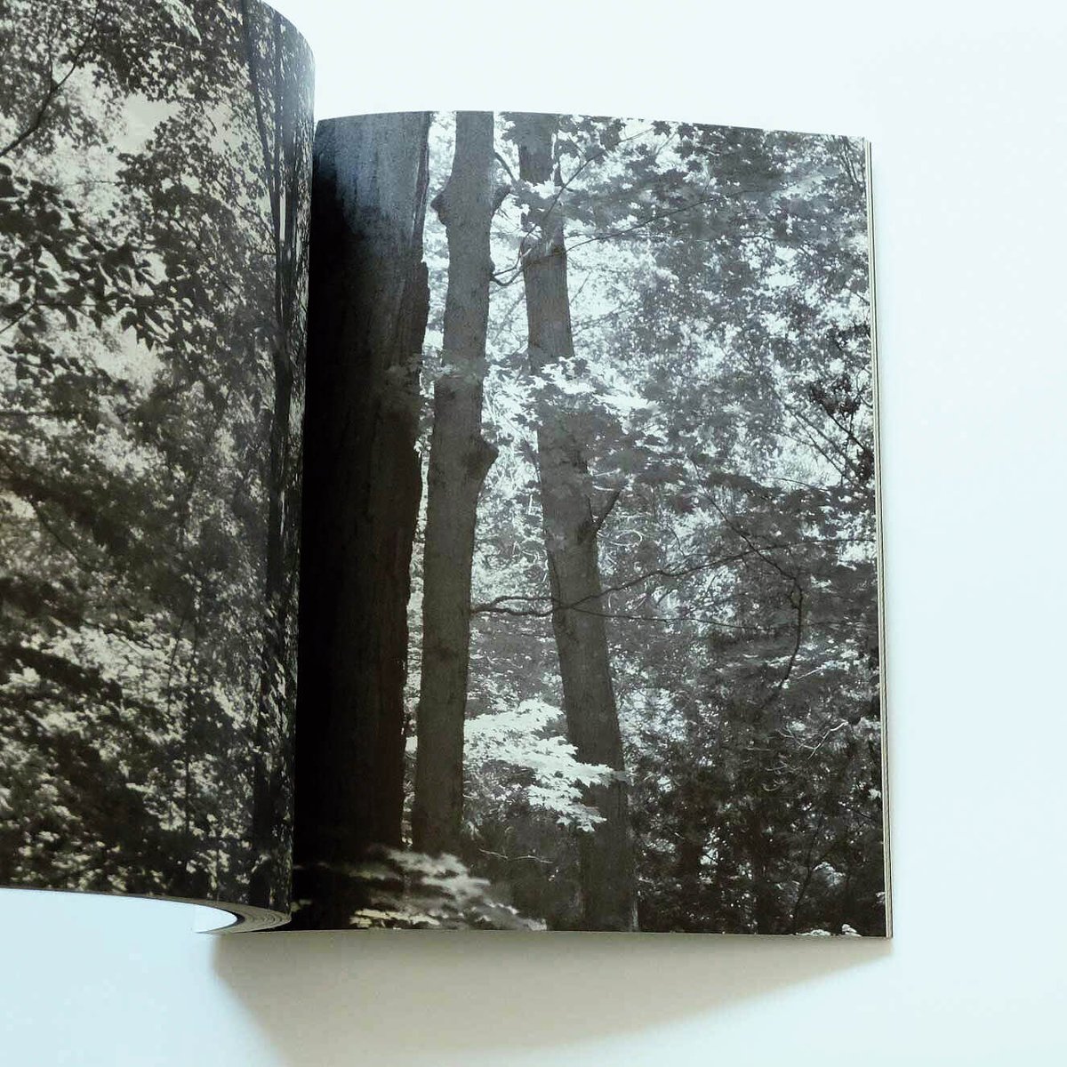 Tim Barber: Over, Under, Around & Through | Boo Tim Barber: Over, Under, Around & Through | Boo
