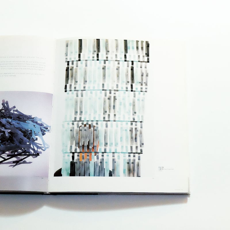 Ronan and Erwan Bouroullec: Phaidon | Book Ernest