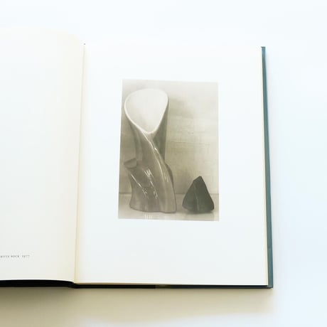 Sheila Metzner: Color