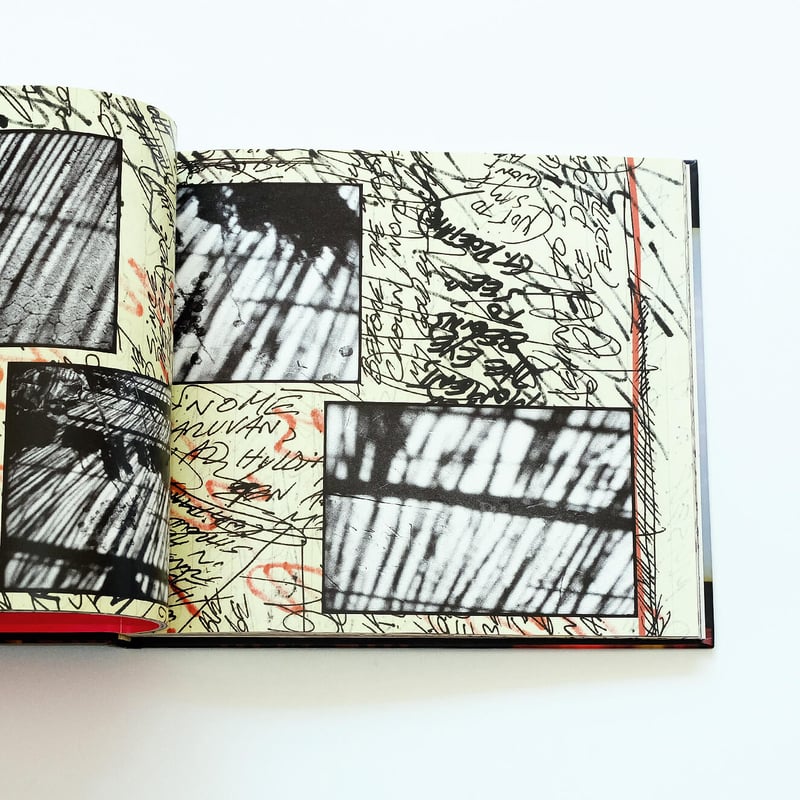 45301 by Viggo Mortensen | Book Ernest