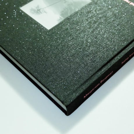 being transported and rapt in secret studies by Margareta Bergman