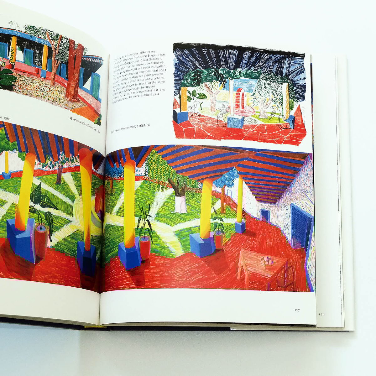 David Hockney: That's the Way I See It | Book E