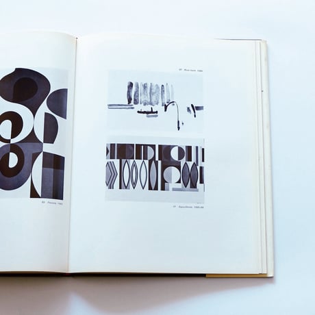Nadir Afonso: The Mechanisms of Artistic Creation