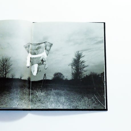 Mateusz Sarello: Swell