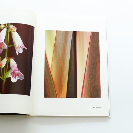 Fleur Olby: Plant Portraits